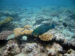 aIMG_0039