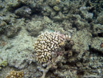 aIMG_0046