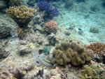 aIMG_0052