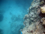 aIMG_0055