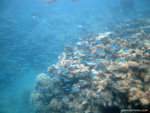 aIMG_0060