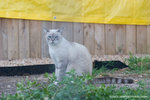 _MG_2417-2