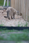 _MG_2422-2