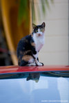 _MG_2432-2