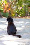 _MG_2605-2