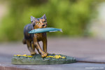 _MG_2329-2