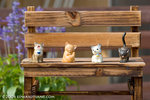 _MG_4981-2
