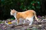 _MG_5283-2