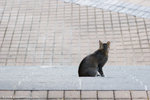 _MG_6380-2