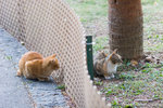 _MG_6399-2