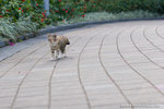 _MG_6495-2