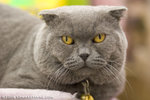 _MG_2638-2