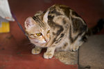 _MG_7642-2
