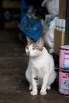 _MG_7649-2