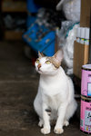 _MG_7651-2