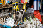 _MG_7654-2