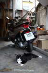 aIMG_5407