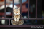 aIMG_5557