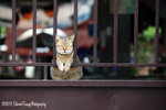 aIMG_5558
