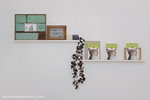 _MG_0895-2
