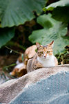 _MG_2398-2