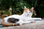_MG_2405-2