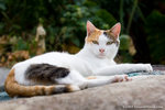 _MG_2408-2