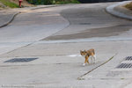 _MG_2432-2