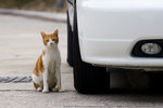 _MG_2459-2