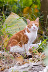 _MG_2473-2