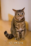 _MG_1755-2