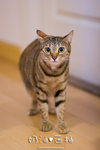 _MG_1773-2