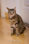 _MG_1777-2