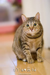 _MG_1782-2