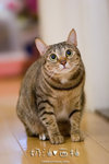 _MG_1787-2