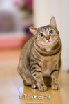 _MG_1793-2