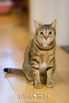 _MG_1802-2