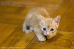 MG_9894_2_filtered