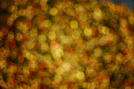 d_MG_5846
