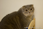 _MG_5893-2