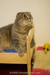 _MG_5894-2