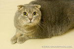 _MG_5914-2
