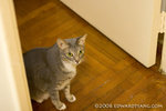 _MG_5916-2
