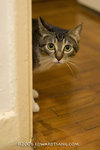 _MG_5926-2