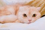_MG_2997-2
