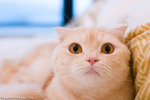 _MG_3018-2
