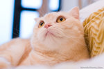 _MG_3024-2