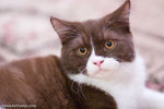_MG_3176-2