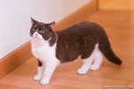 _MG_3262-2