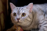 _MG_2223-2